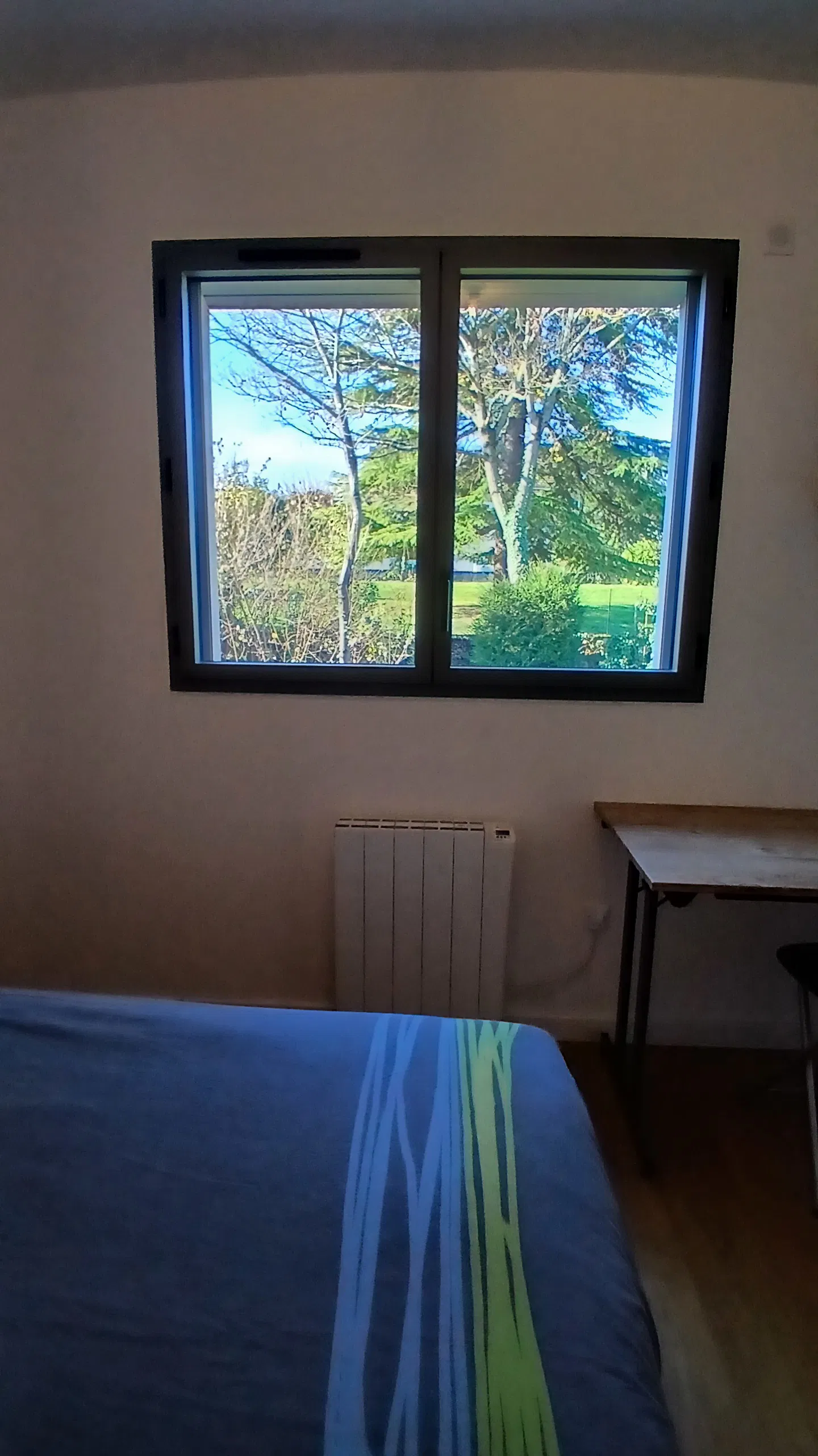 Room Rue Pierre Termier in Lyon