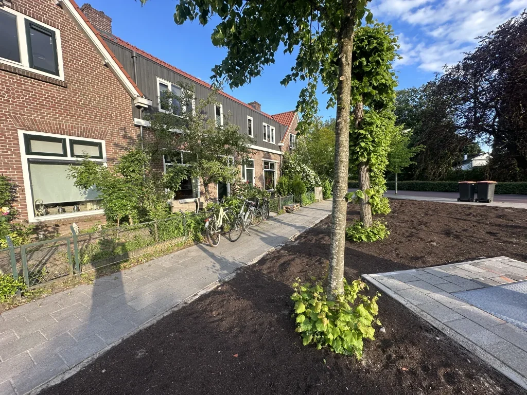 Huis Scheltussingel 4