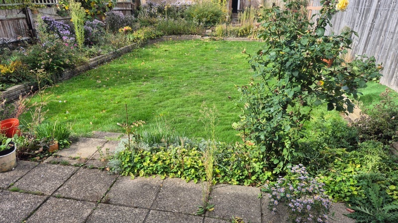 Room Green Lanes in Greater London