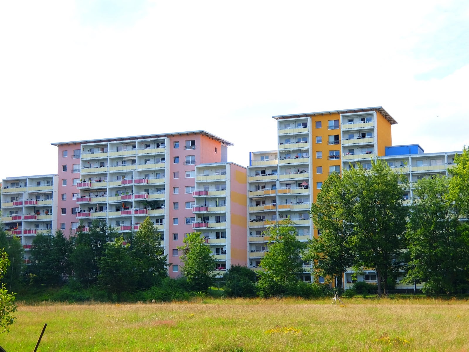 Wohnung Wilhelm-Firl-Straße in Chemnitz