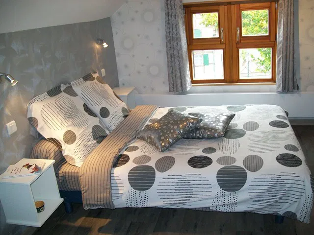 Room Rue Paul Lang in Hirsingue