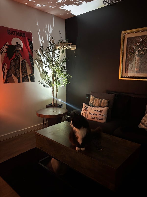 Room Carr Street in Greater London