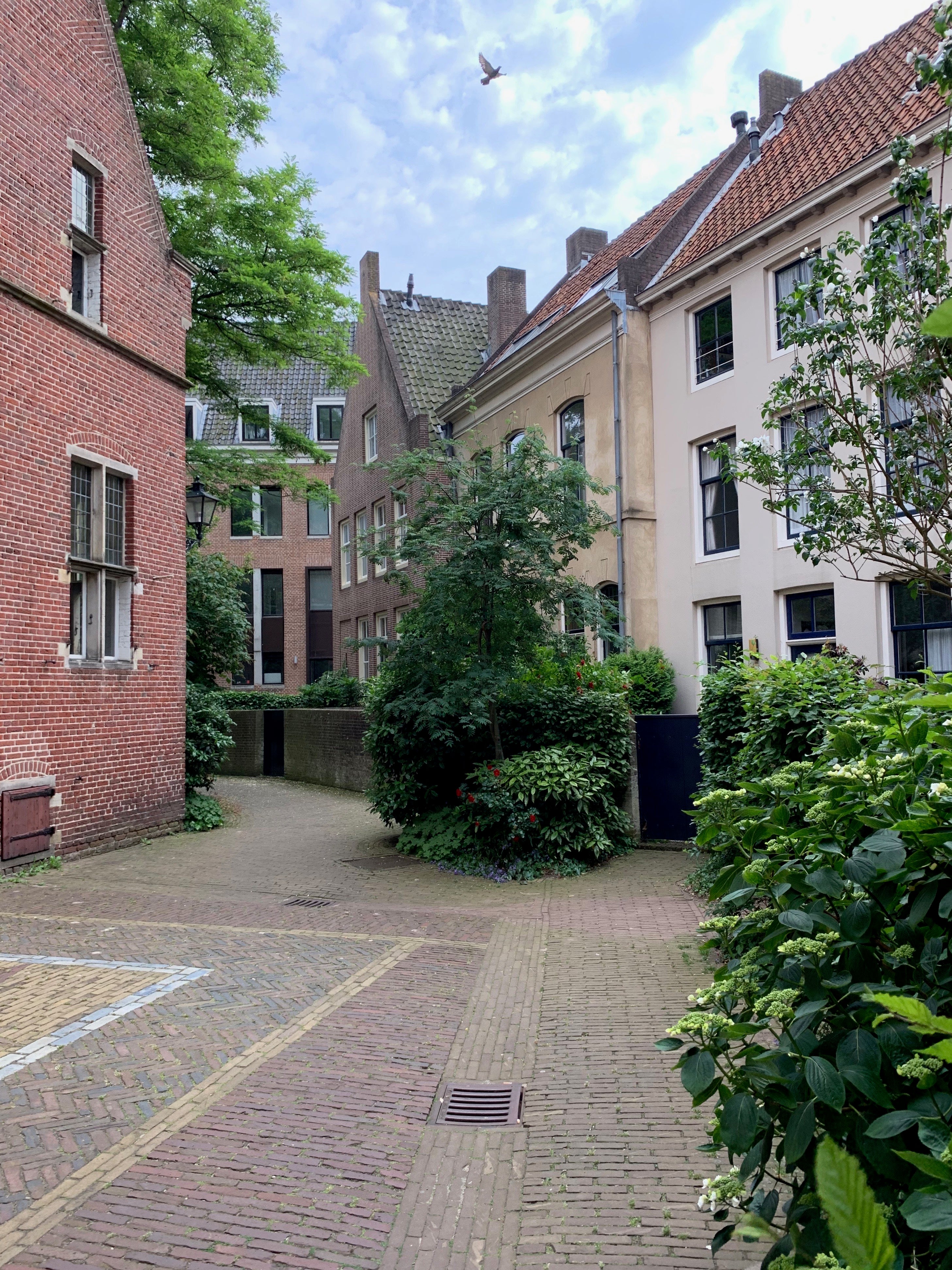 Appartement te huur: Praubstraat 17, Zwolle