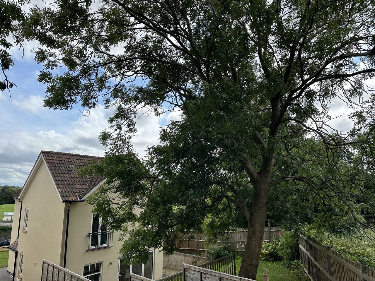 House Bell Hill in Bristol