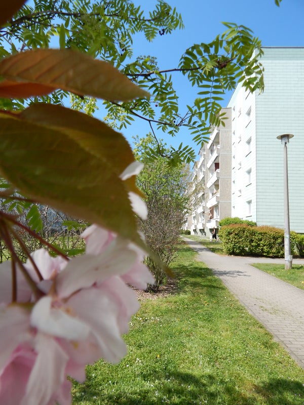Wohnung Lilienthalstraße in Schkeuditz