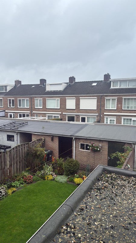 A rental house advertisment