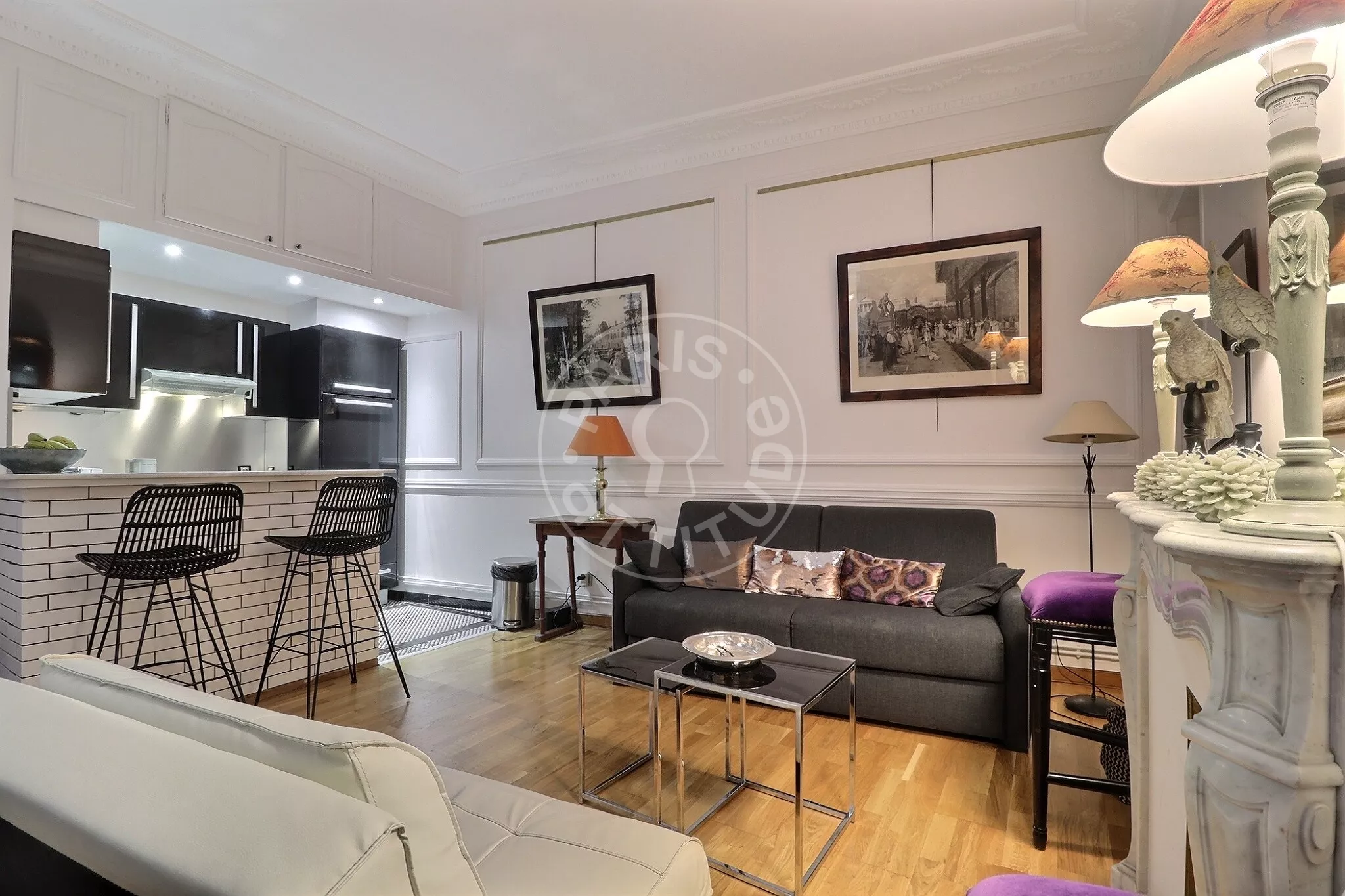 Flat Rue de la Faisanderie in Paris