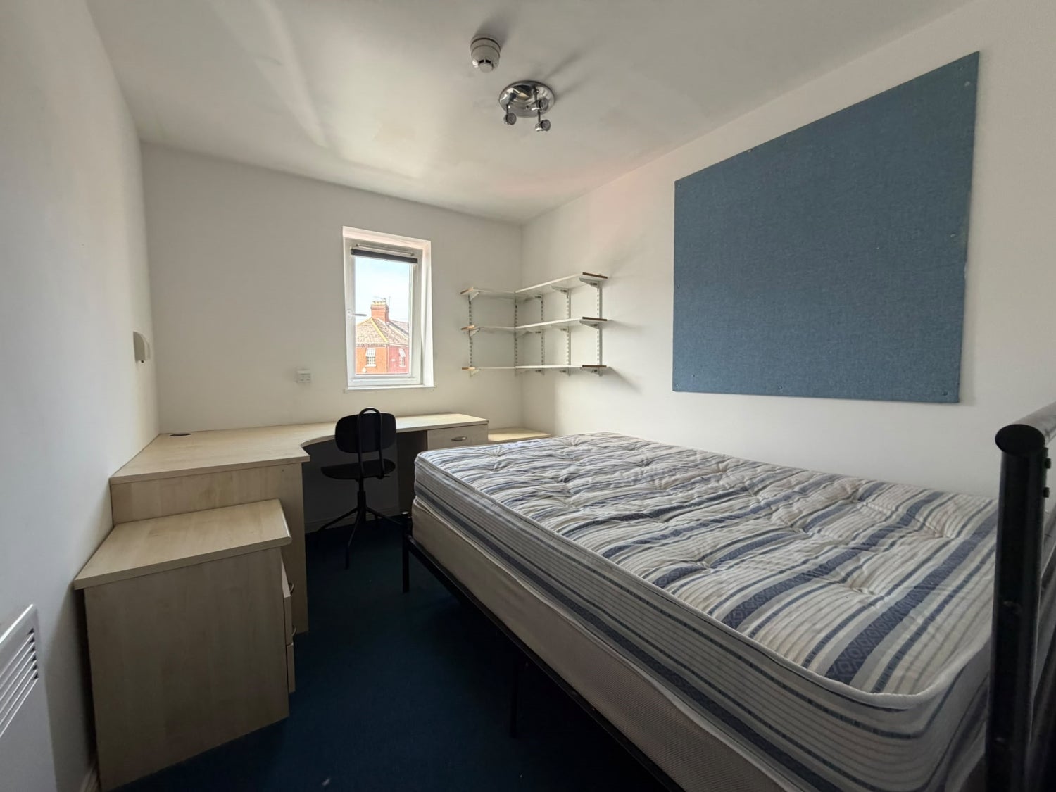 Room Gwennyth Street in Cardiff