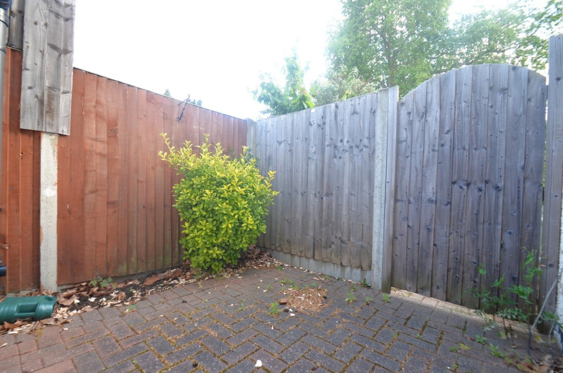 Room Exeforde Avenue in Borough of Spelthorne