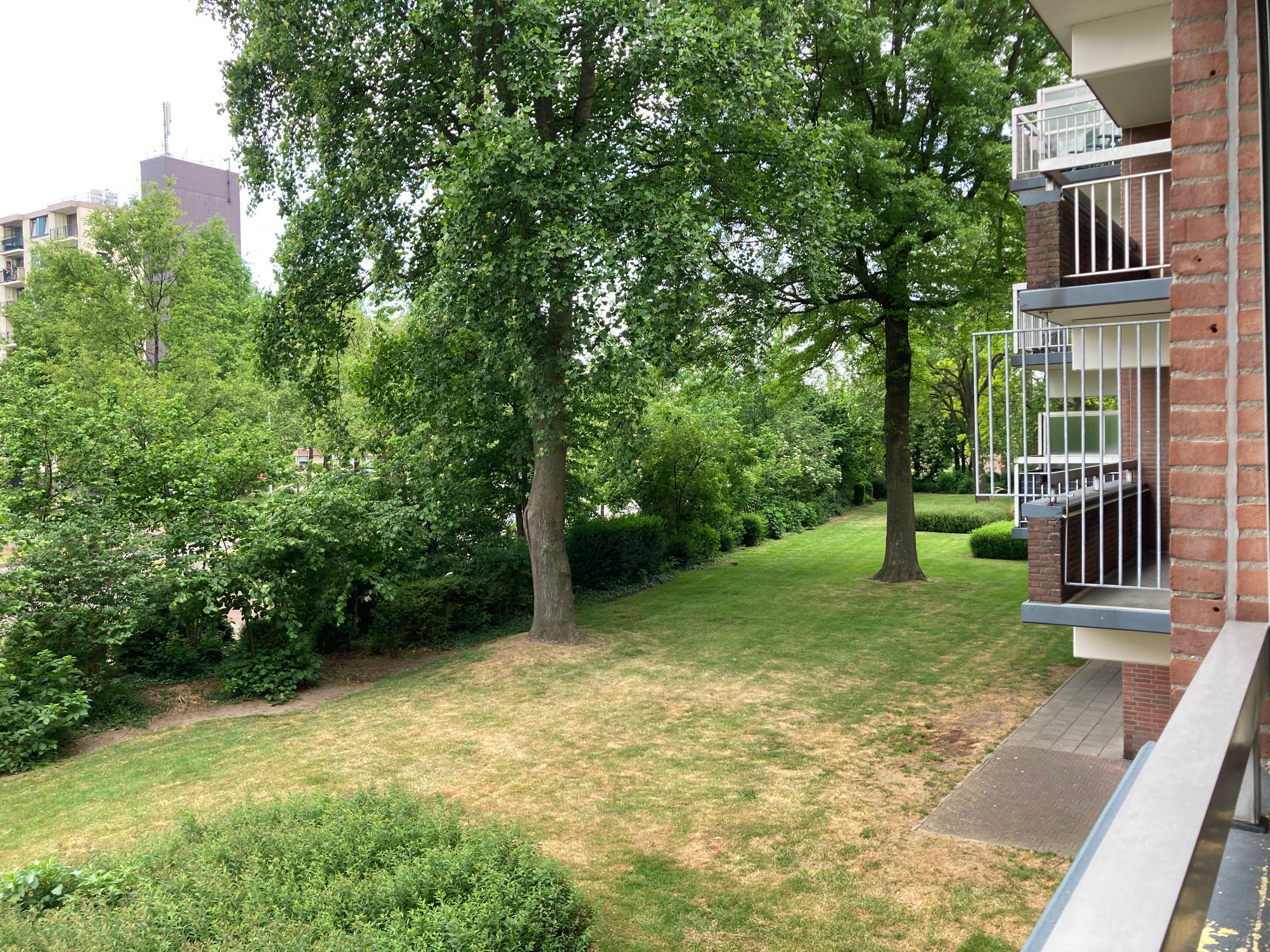 Woning te huur: Genovevalaan, Eindhoven