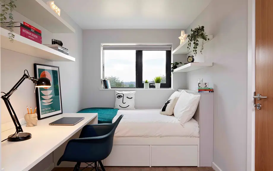 Room Beaumont Road in Plymouth