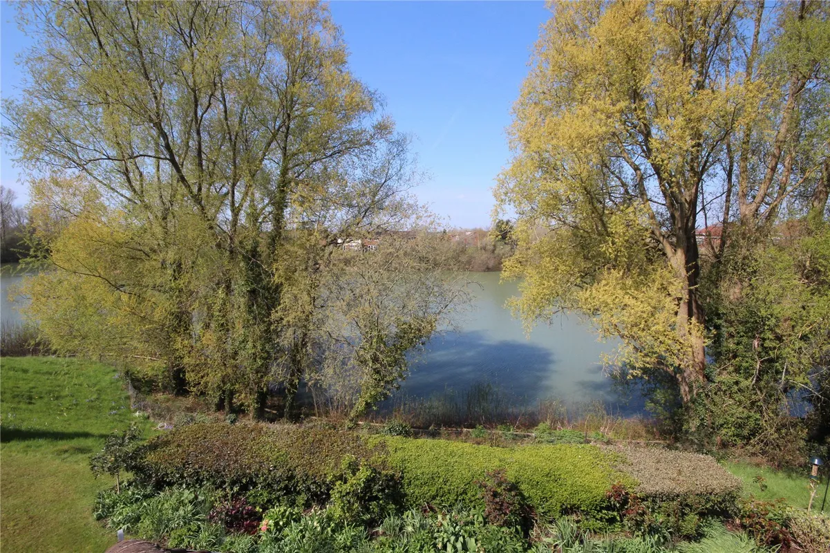 Flat Watership Drive in New Forest