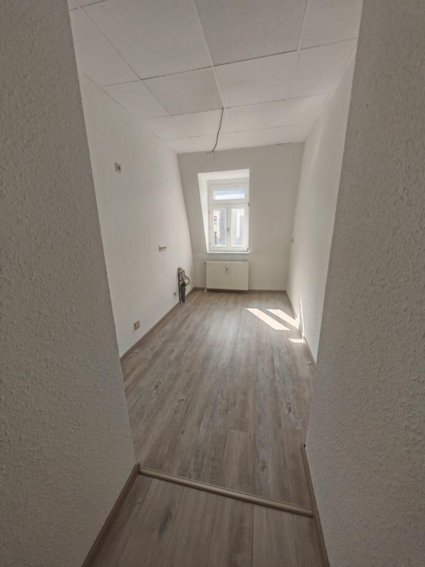 Wohnung Kesselsdorfer Straße in Dresden
