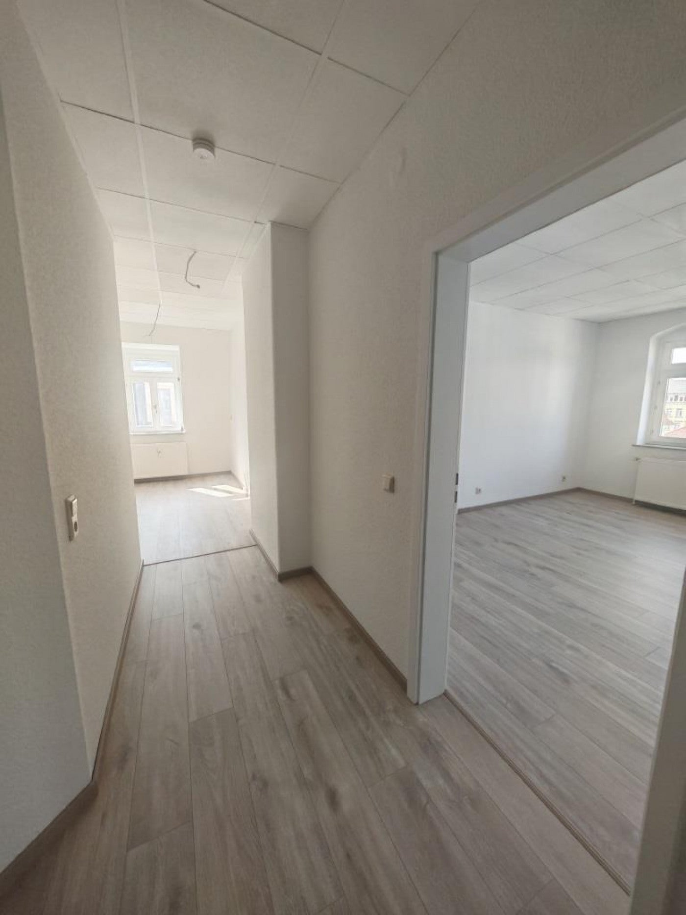 Wohnung Kesselsdorfer Straße in Dresden