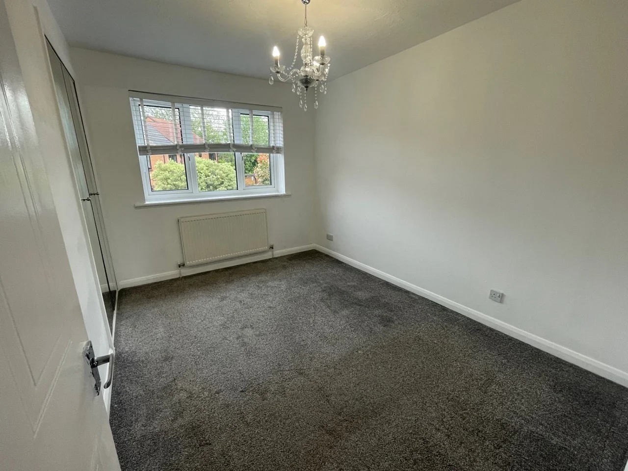 House Bull Close in Grays