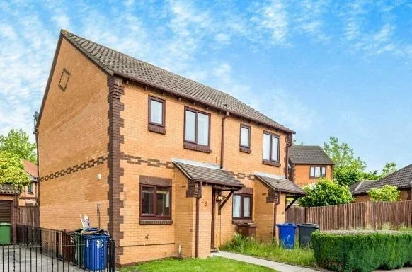 House Bull Close in Grays