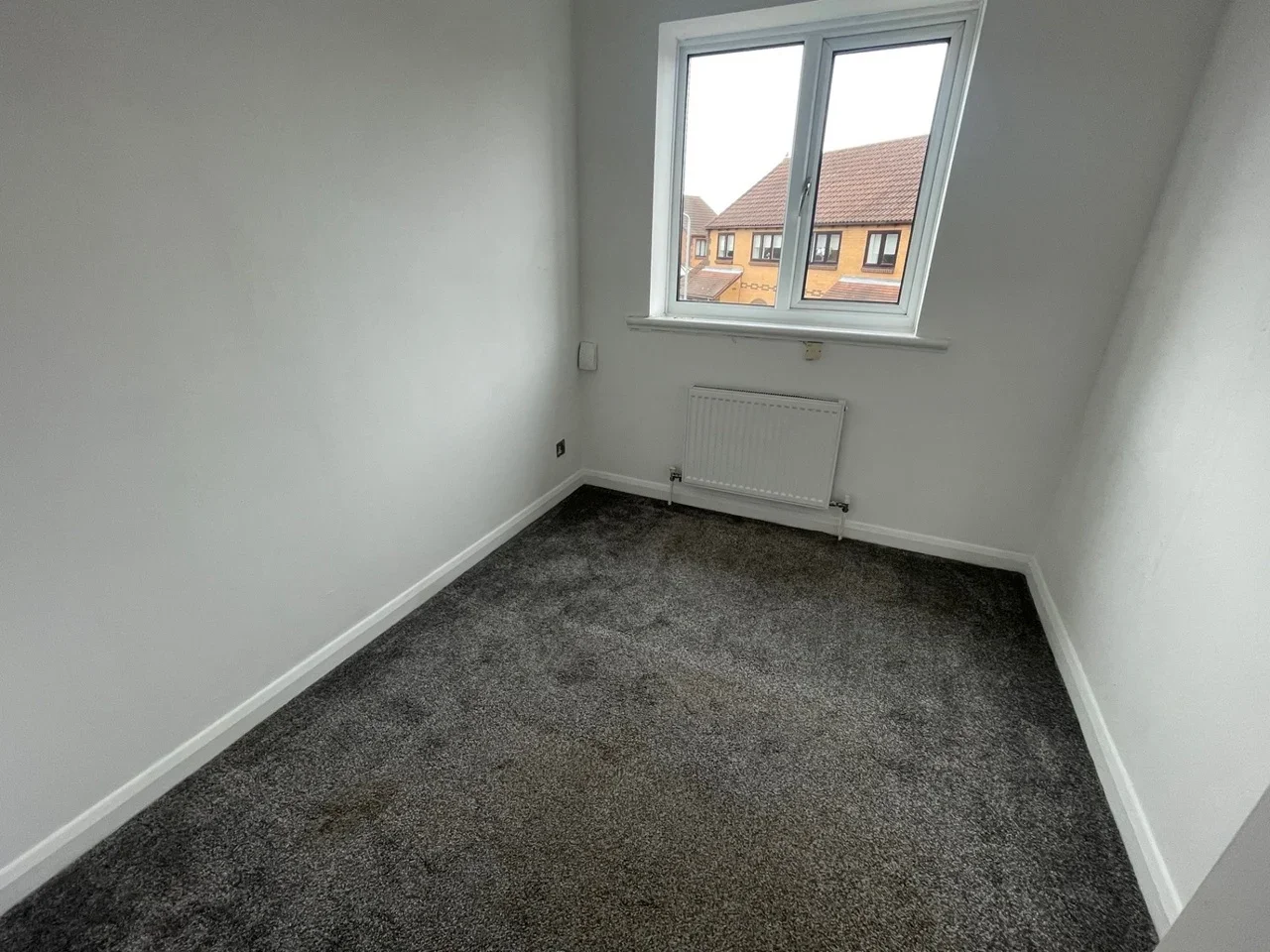 House Bull Close in Grays