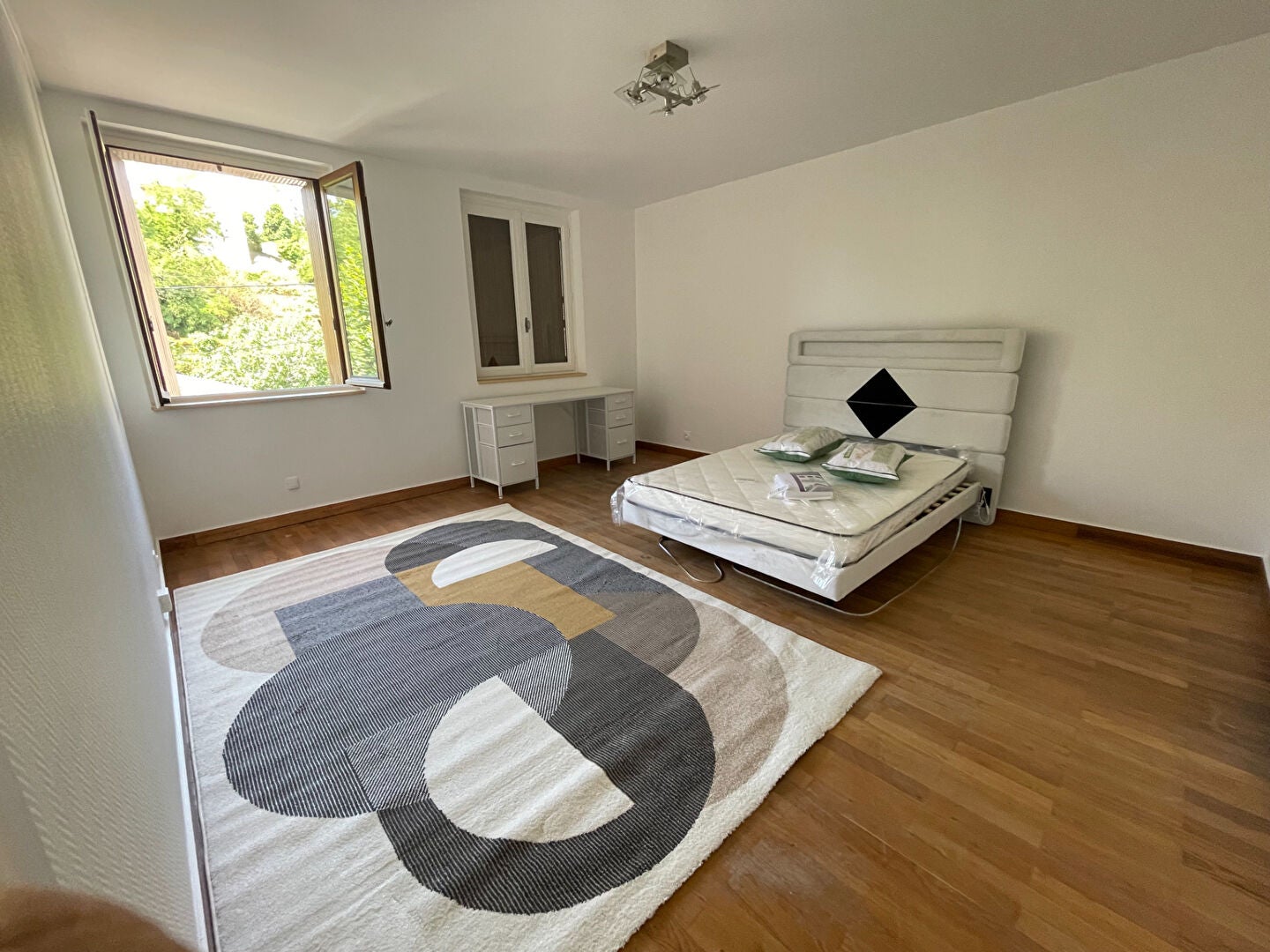 Flat Rue Jean Allemane in Saint-Étienne