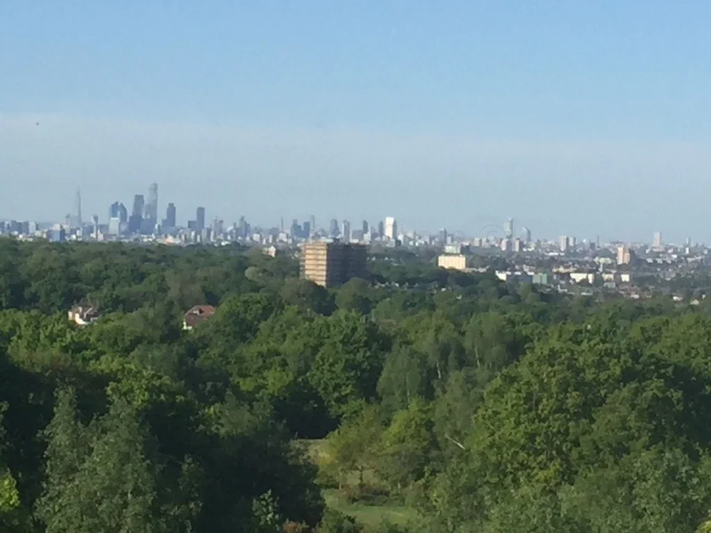 Flat Sydney Road in Greater London