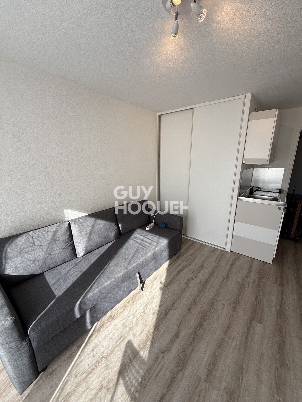 Flat Avenue Marie Reynoard in Grenoble