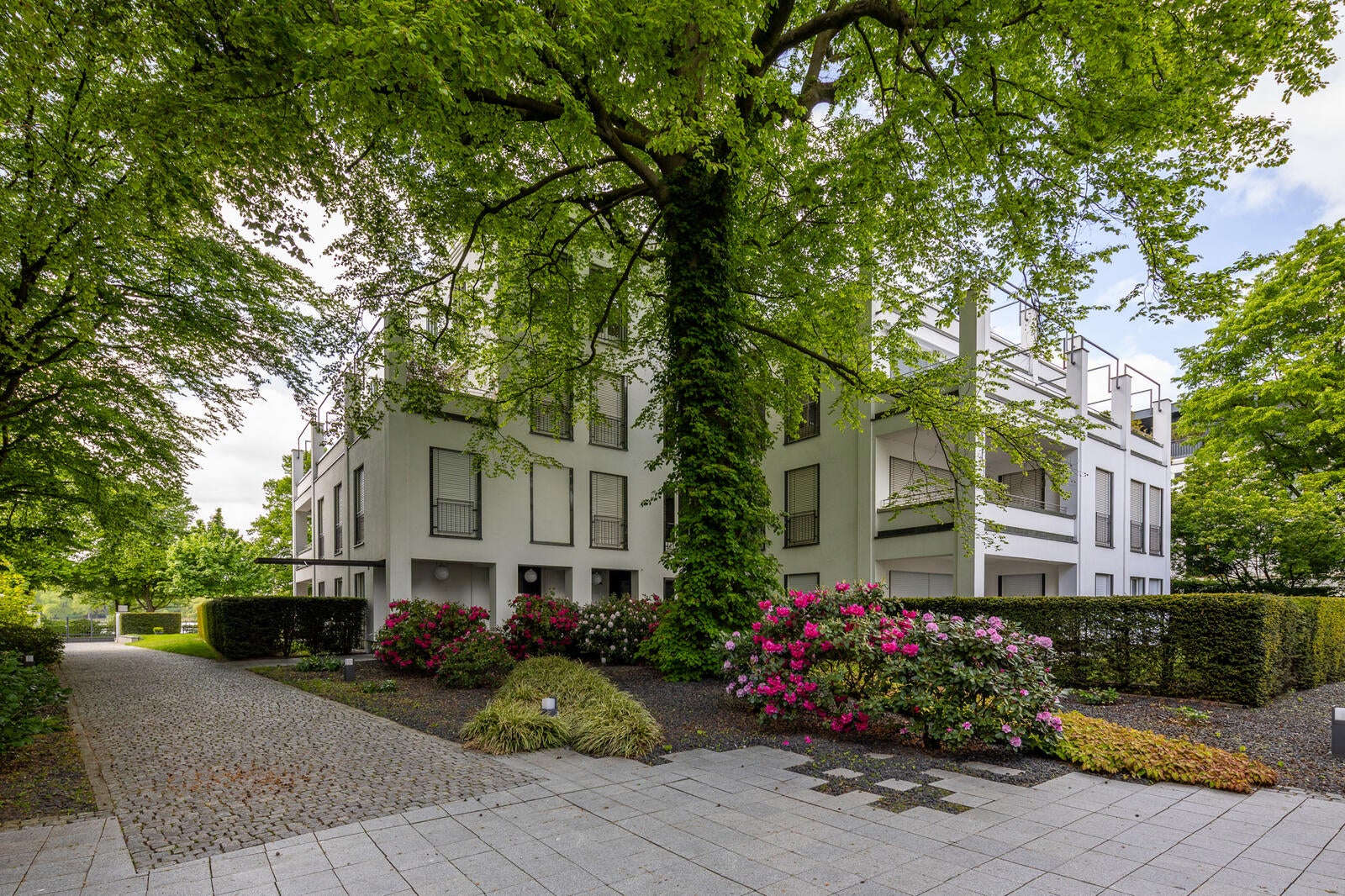 Wohnung Hamburger Straße in Hamburg