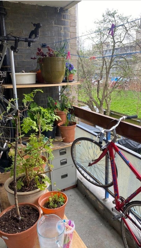 Room Czar Street in Greater London