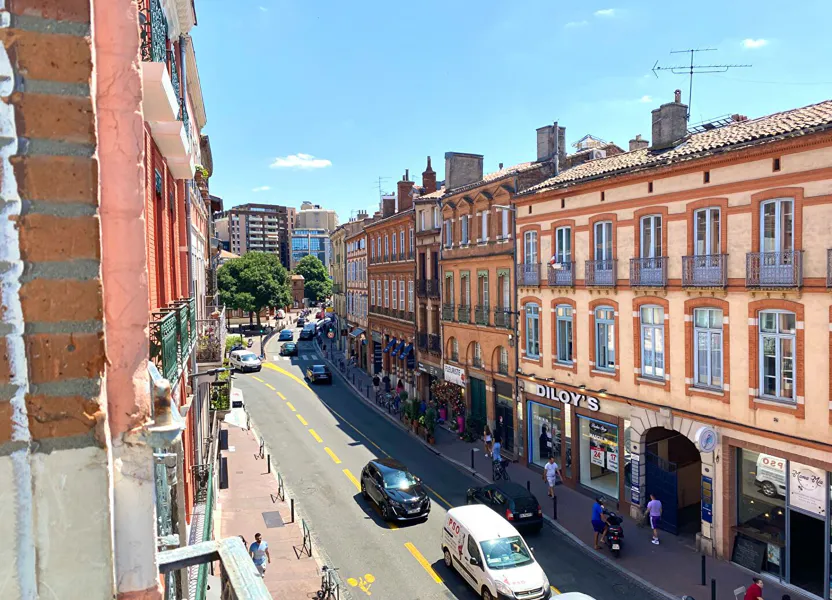 Flat Rue des Frères Lion in Toulouse