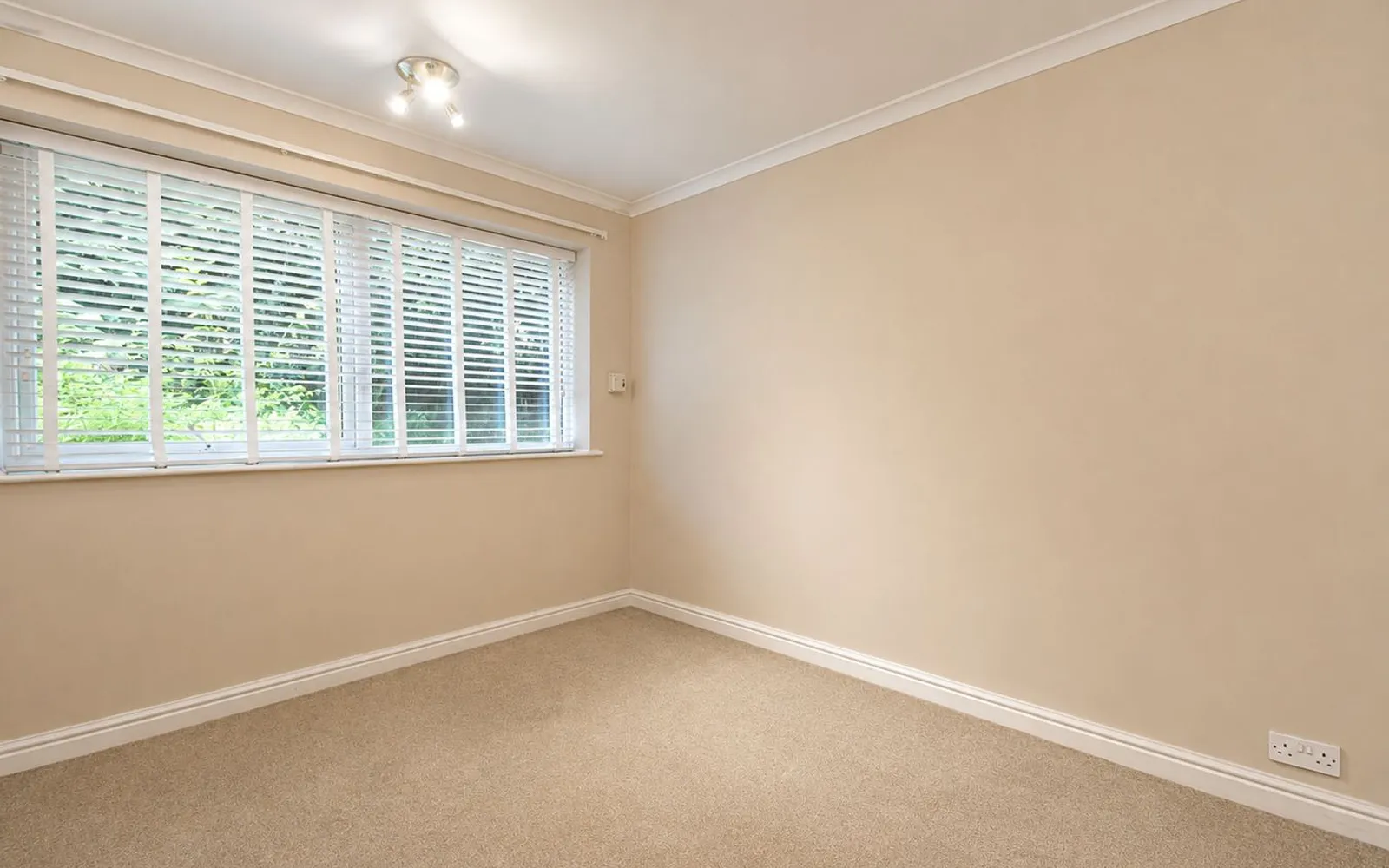 Flat Pine Grove in Elmbridge