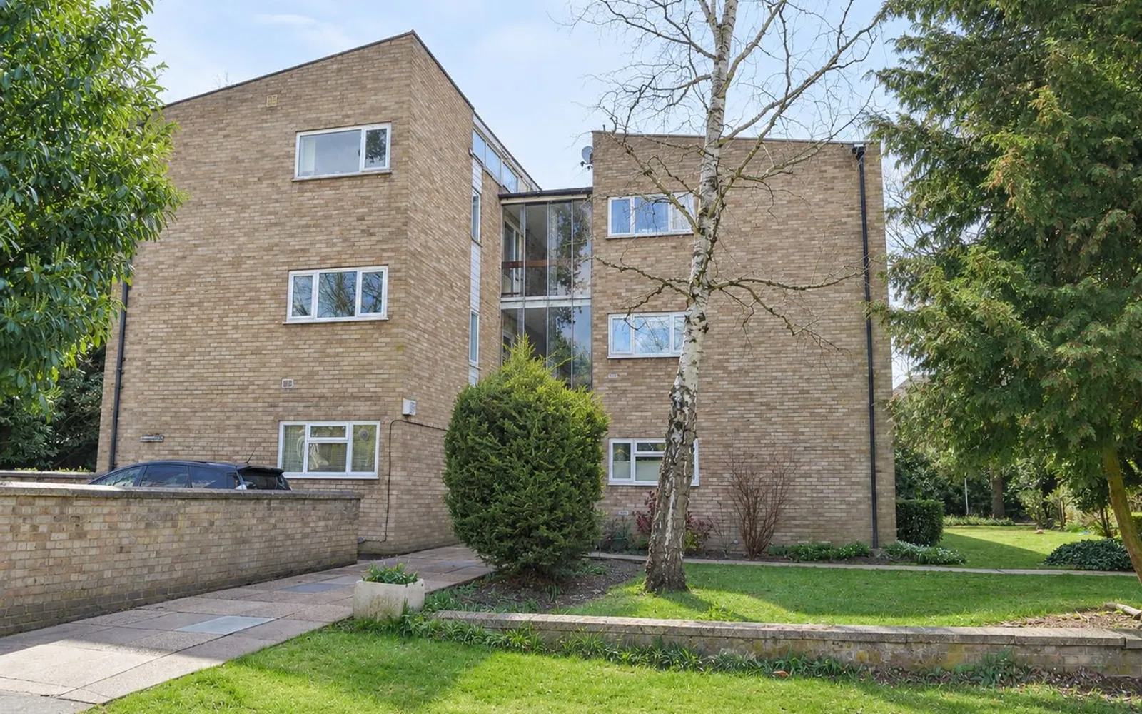 Flat Pine Grove in Elmbridge