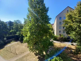 Wohnung Mosenstraße in Dresden
