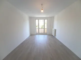 Wohnung Mosenstraße in Dresden