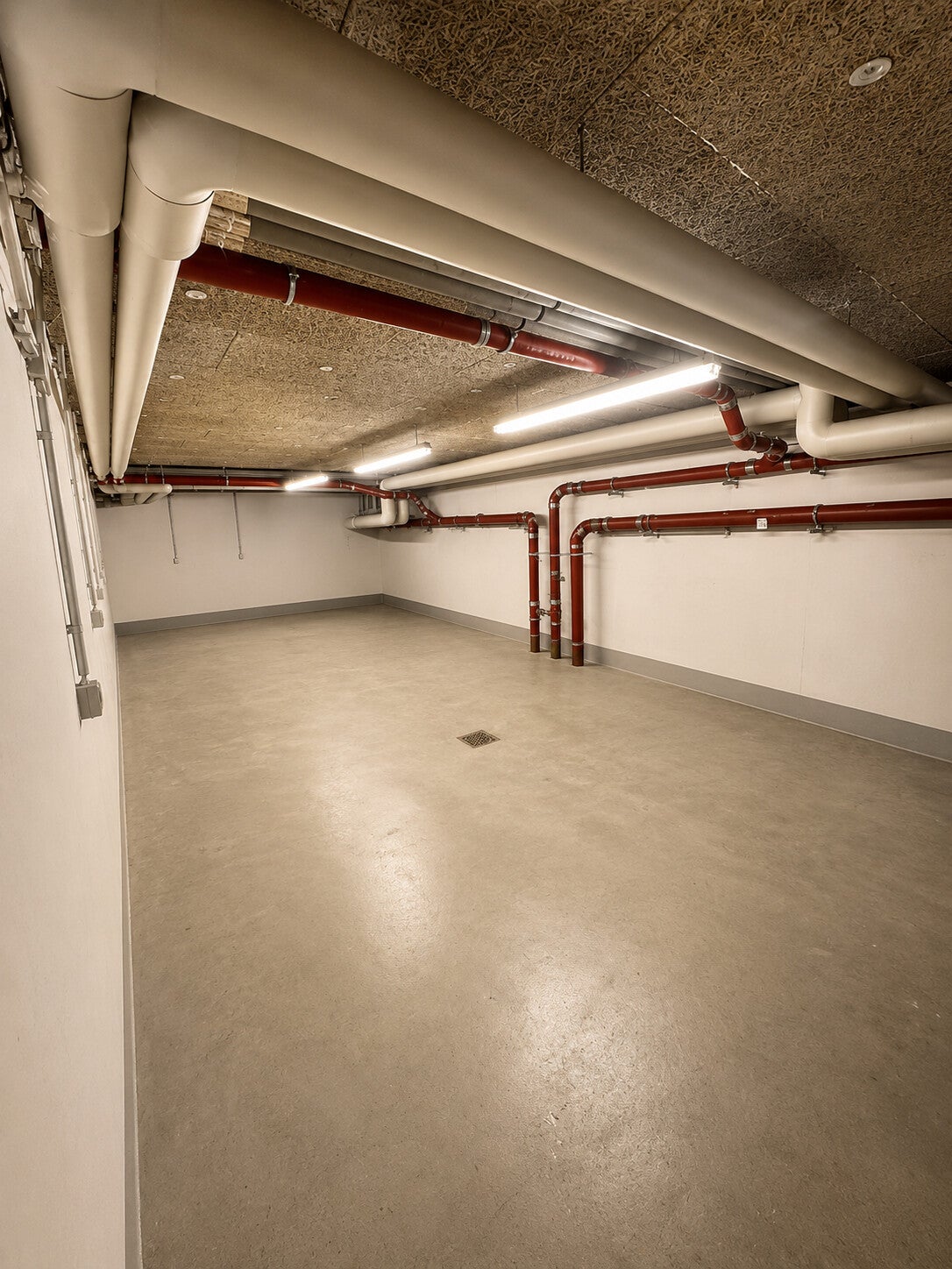 Wohnung Wachsbleichstraße in Dresden