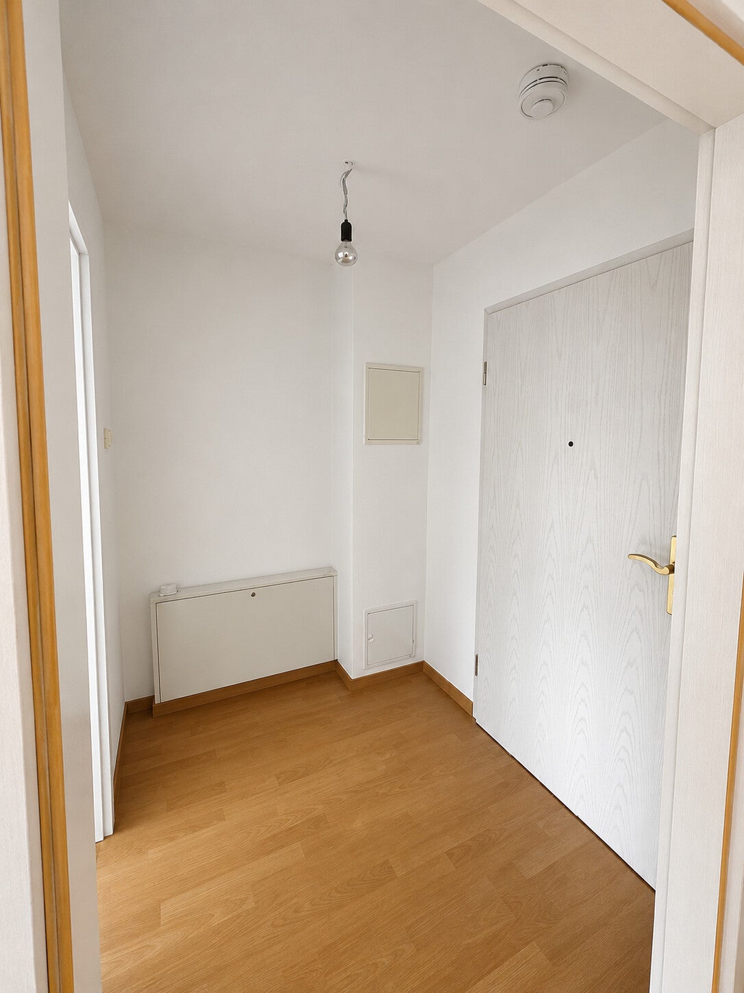 Wohnung Wachsbleichstraße in Dresden