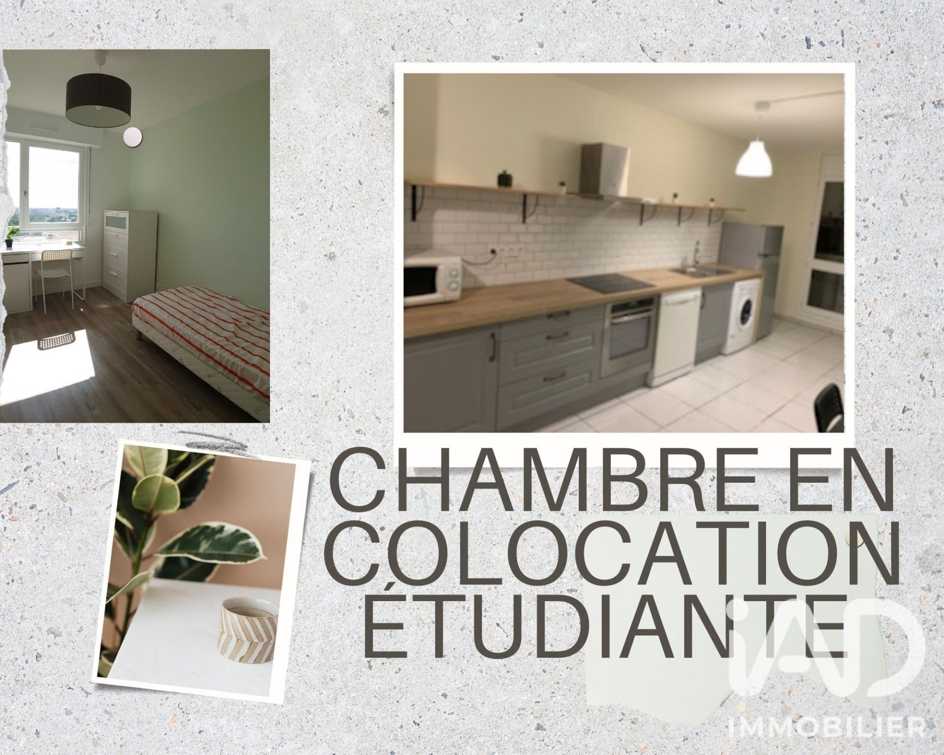 Chambre Rue de la Justice Mauve à Cergy