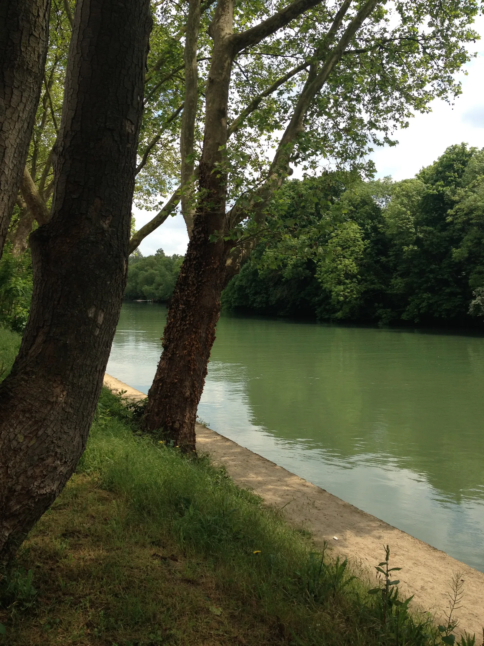 Chambre Avenue Pierre Brossolette à Champigny-sur-Marne