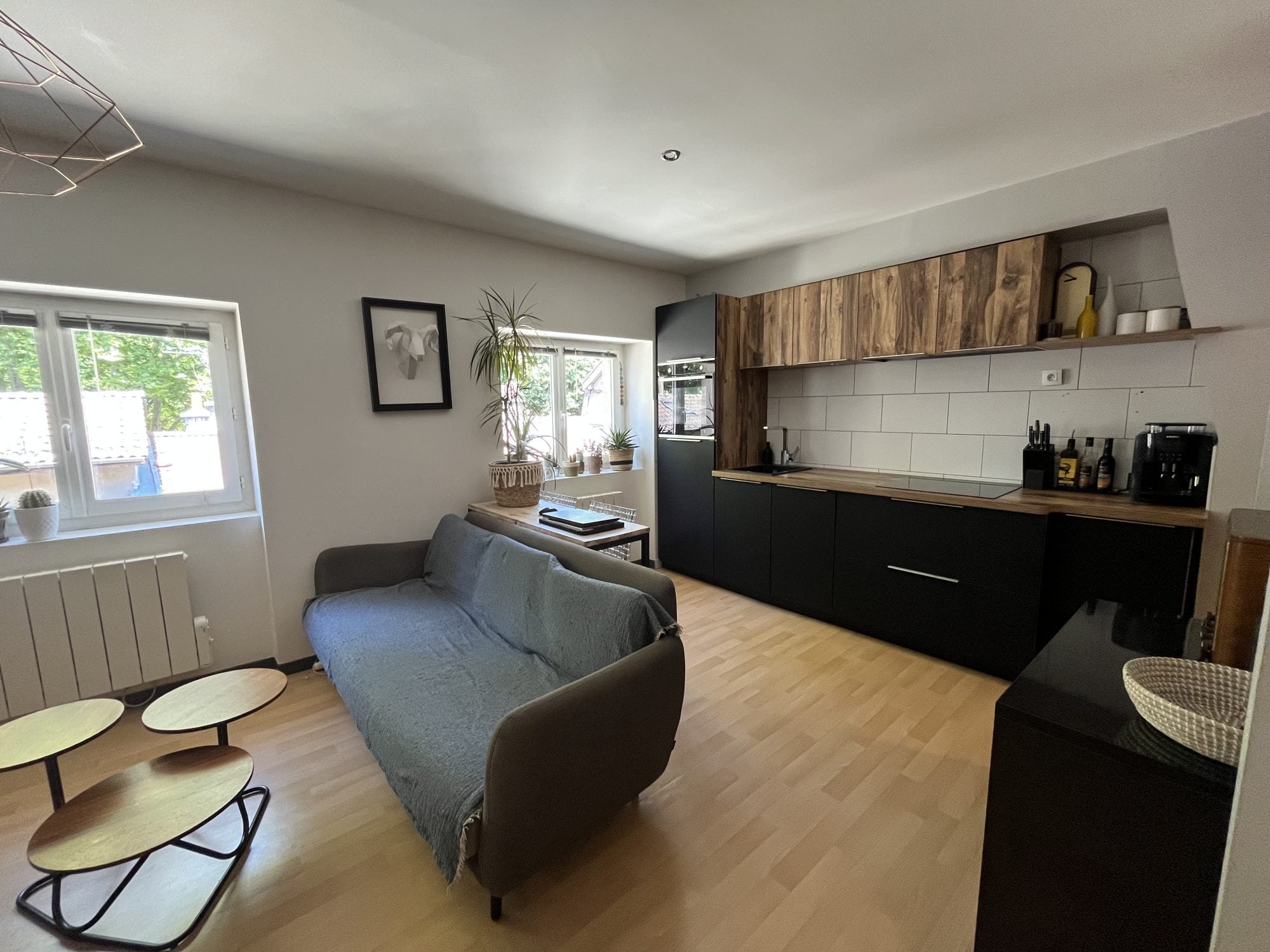 Flat Rue Montorge in Grenoble