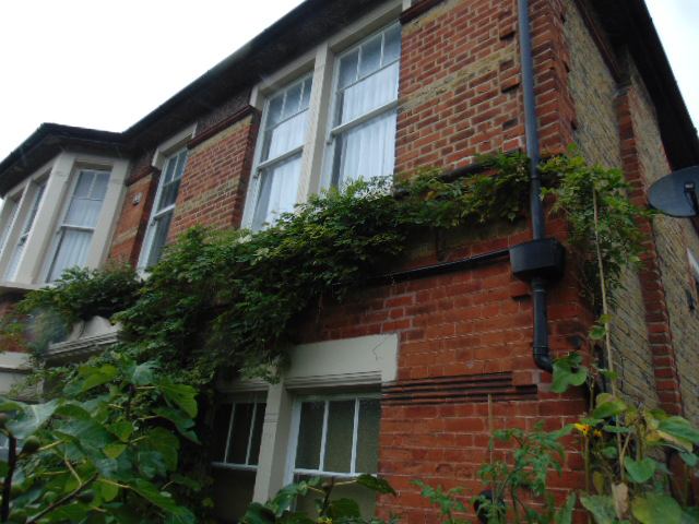 Room Upland Road in Greater London