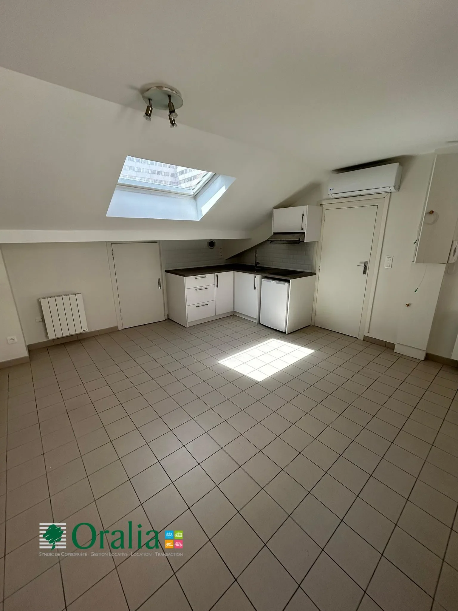 Flat Cours Lafayette in Lyon