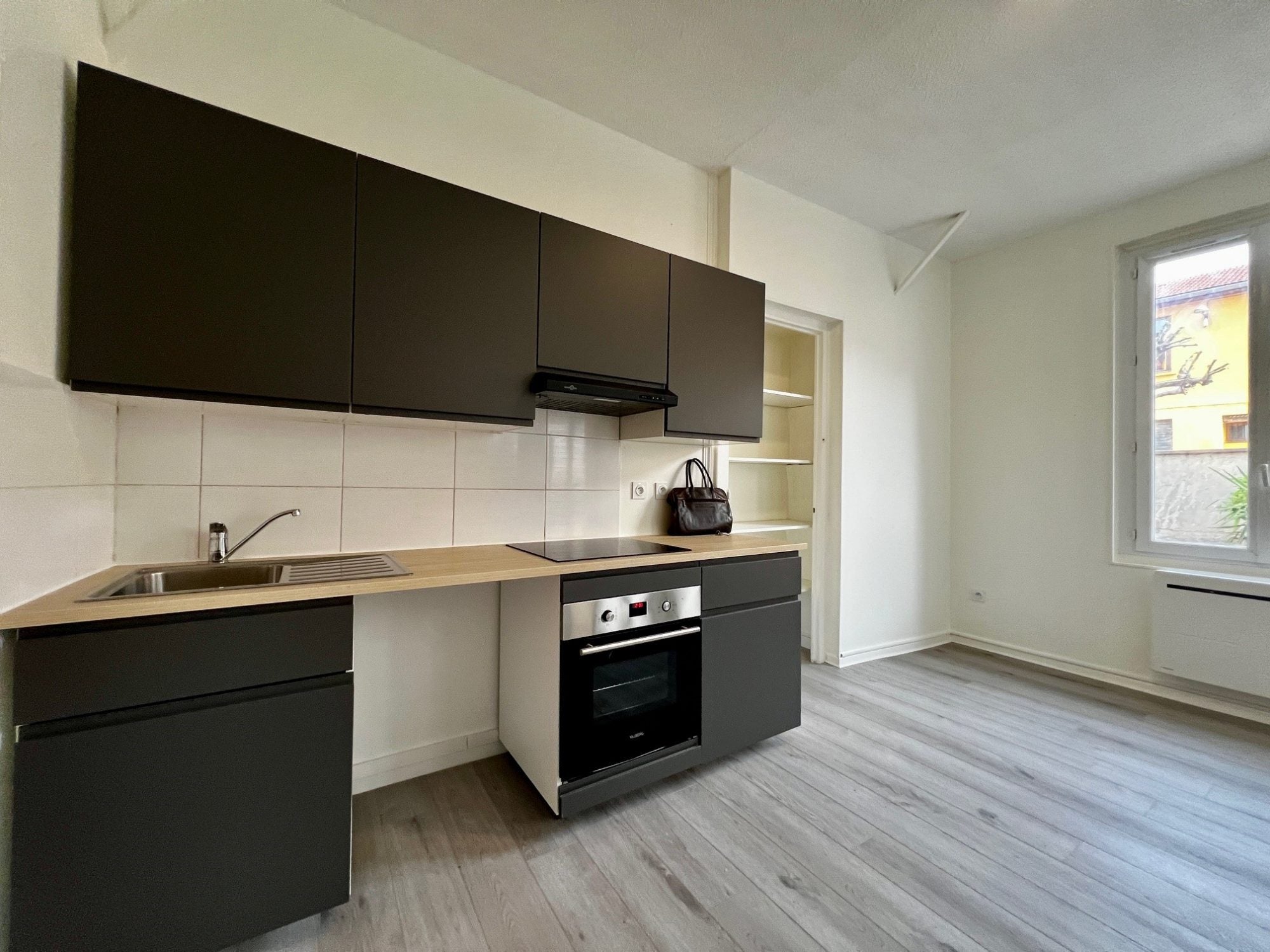 Appartement Rue Augustin Blanc à Grenoble