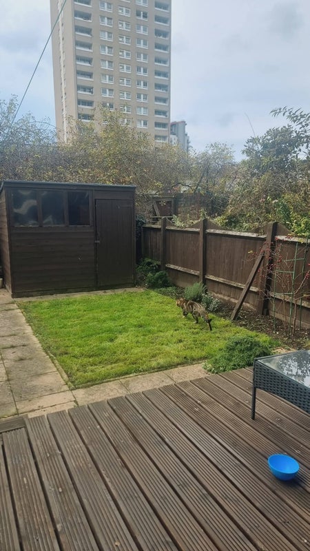 Room Alpha Grove in Greater London