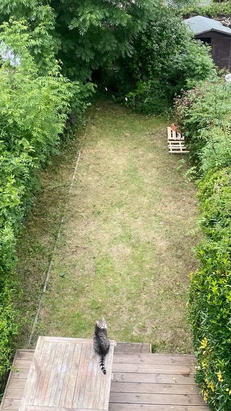 Room Elvendon Road in Greater London