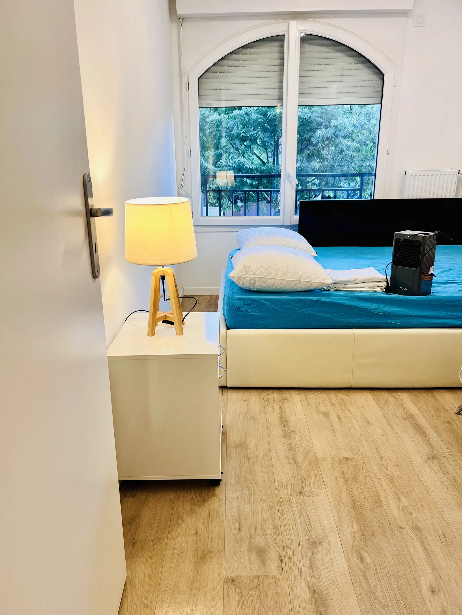 Room Avenue Pasteur in Le Blanc-Mesnil
