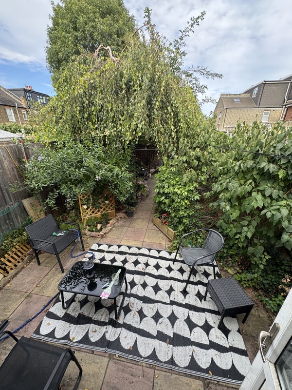 Room Essex Road in Greater London
