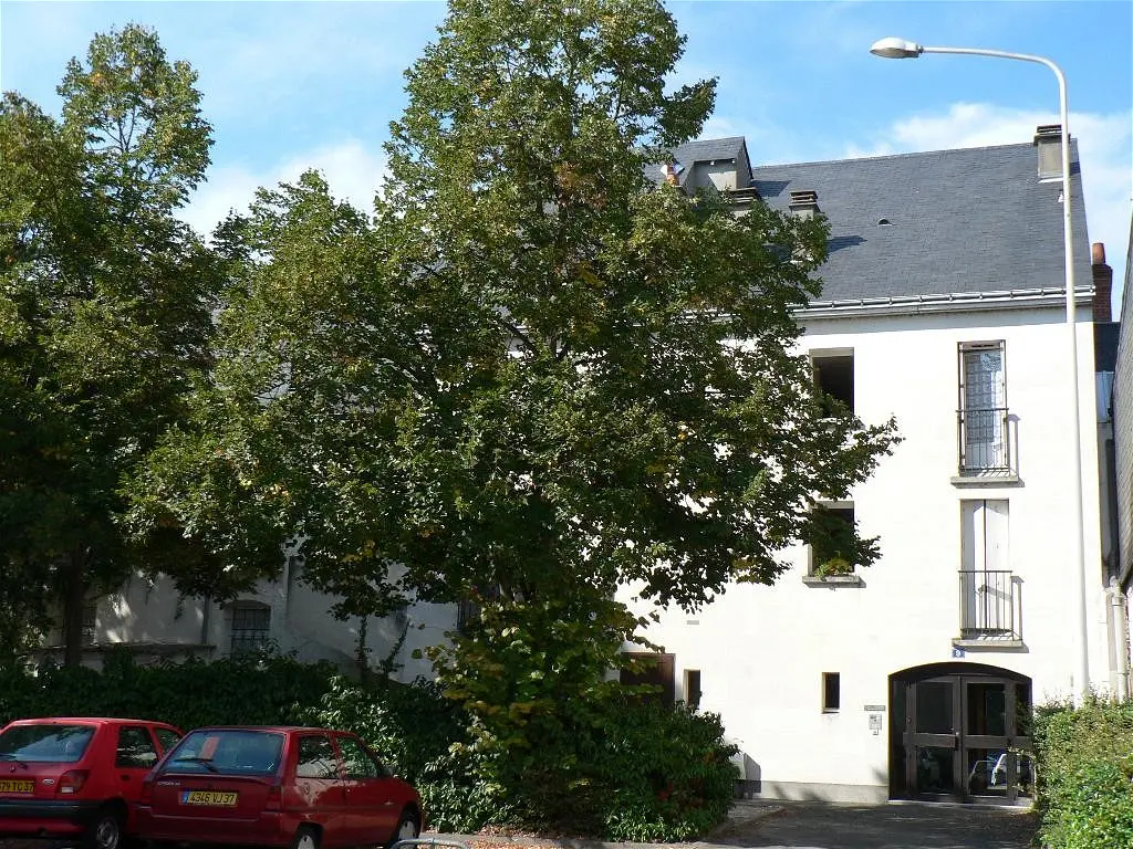 Appartement Rue du Chanoine Dalmas à Tours