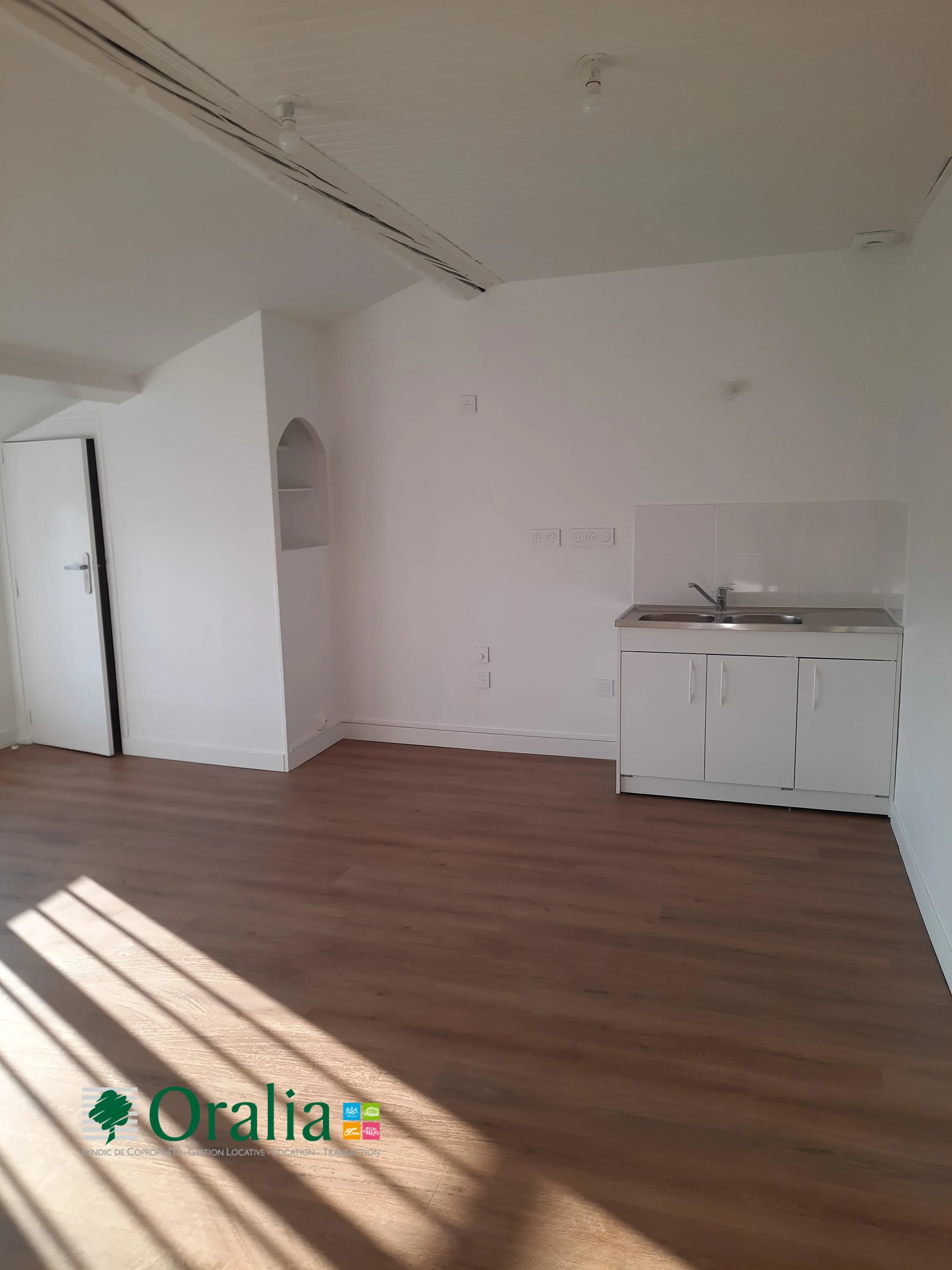 Appartement Avenue Sidoine Apollinaire à Lyon