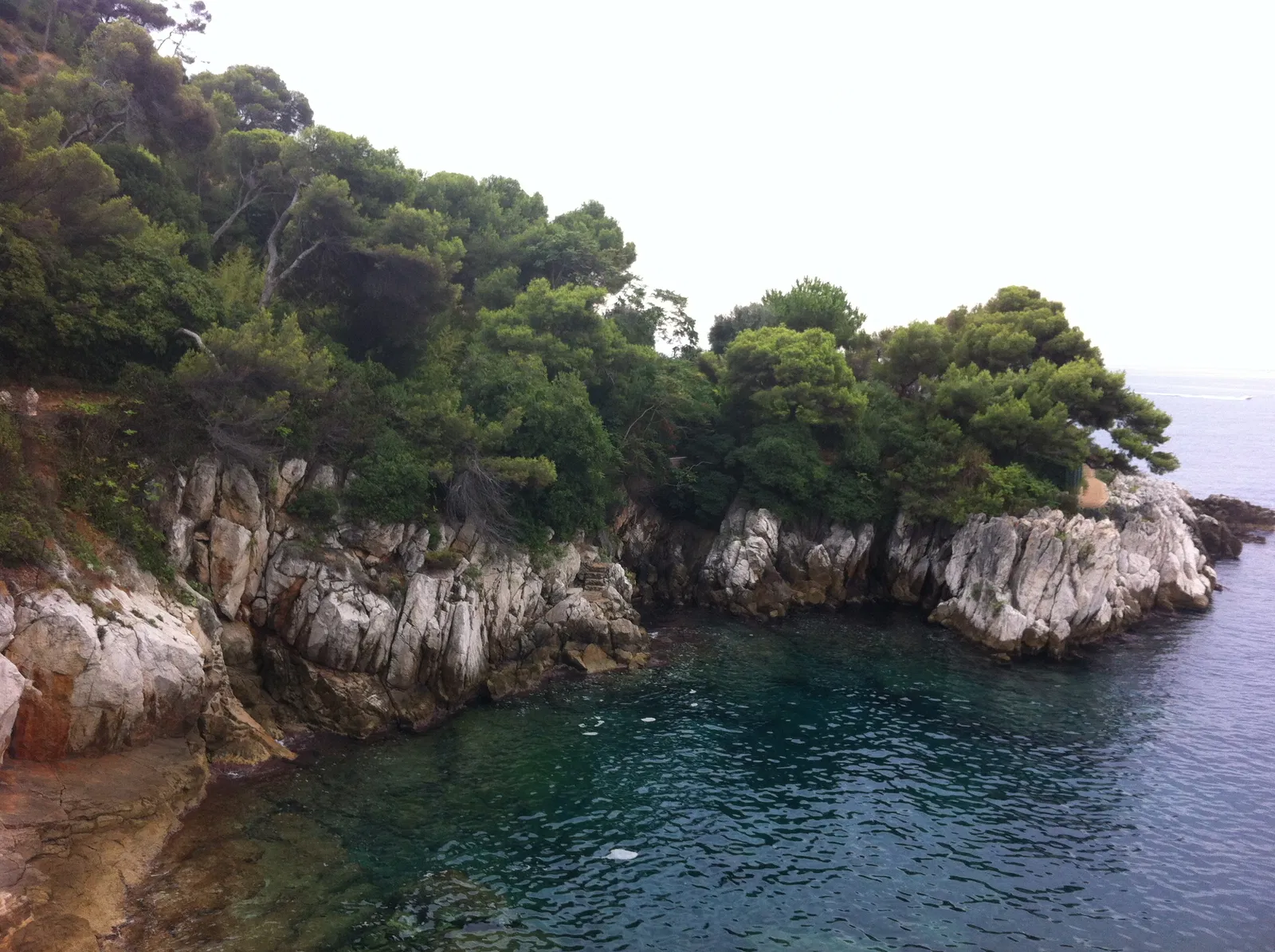 Chambre Avenue des Fleurs à Saint-Jean-Cap-Ferrat